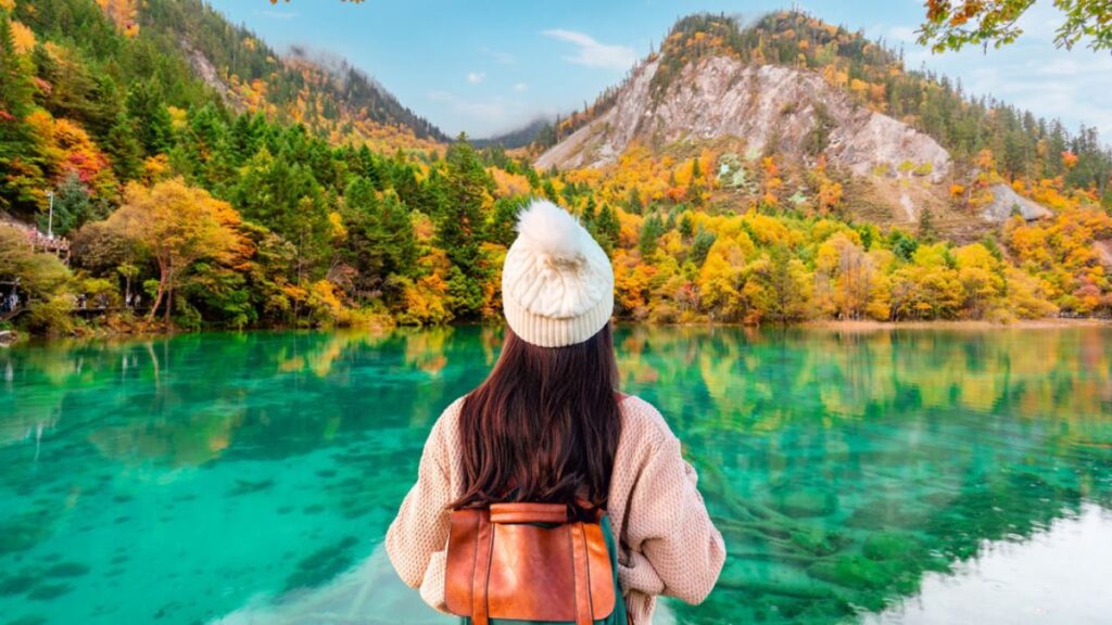 Why Crown 11 is the Ultimate Choice for Your Next Adventure